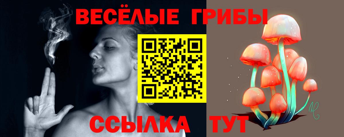 Псилоцибиновые грибы ЛСД Жигулёвск